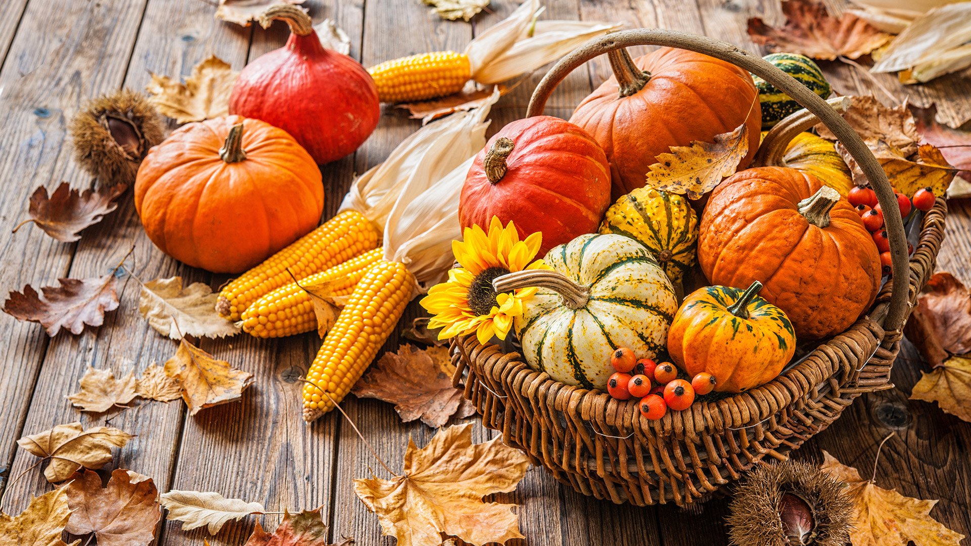 blogi_halloween_3