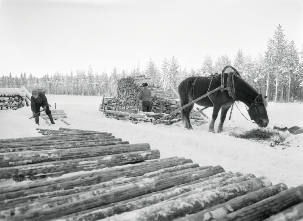 Etualalla tukkipino, taka-alalla vasemmalla metsämies töissä ja taka-alalla oikealla hevonen, toinen työmies, halkopino ja tukkireki.