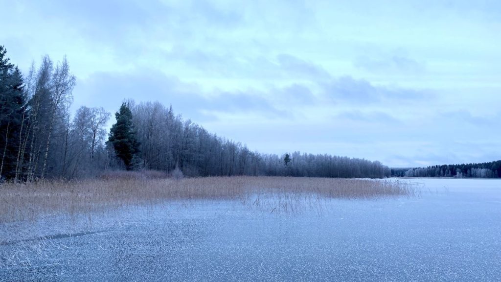 Jäinen järvenpinta, josta nousee esiin kaisloja. Lehdettömät, huurteiset puut reunustavat rantaa. Taivaalla on hentoja pilviä.