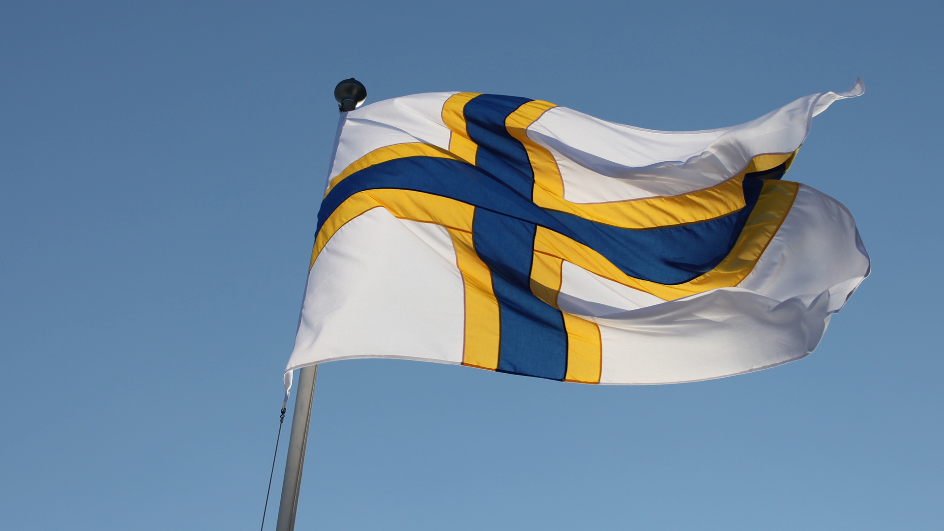 Ruotsinsuomalaisten lippu