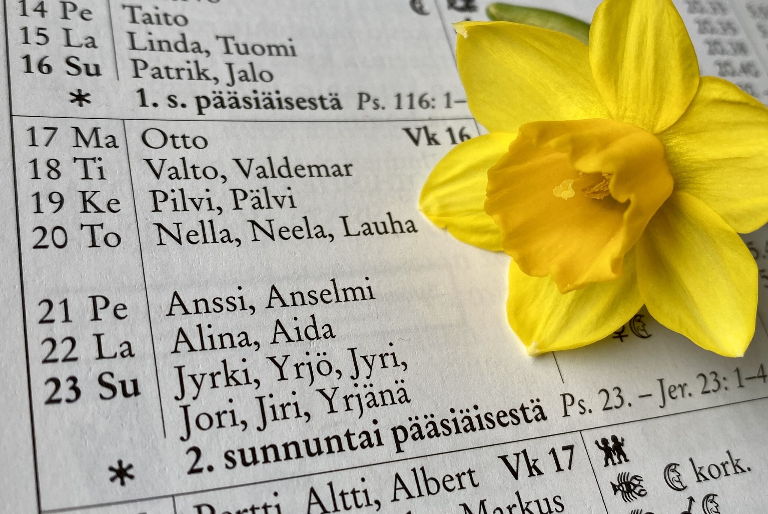 Huhtikuun 17.–23. vuonna 2025 suomalaisessa kalenterissa. Kalenterin päällä keltainen narsissi.
